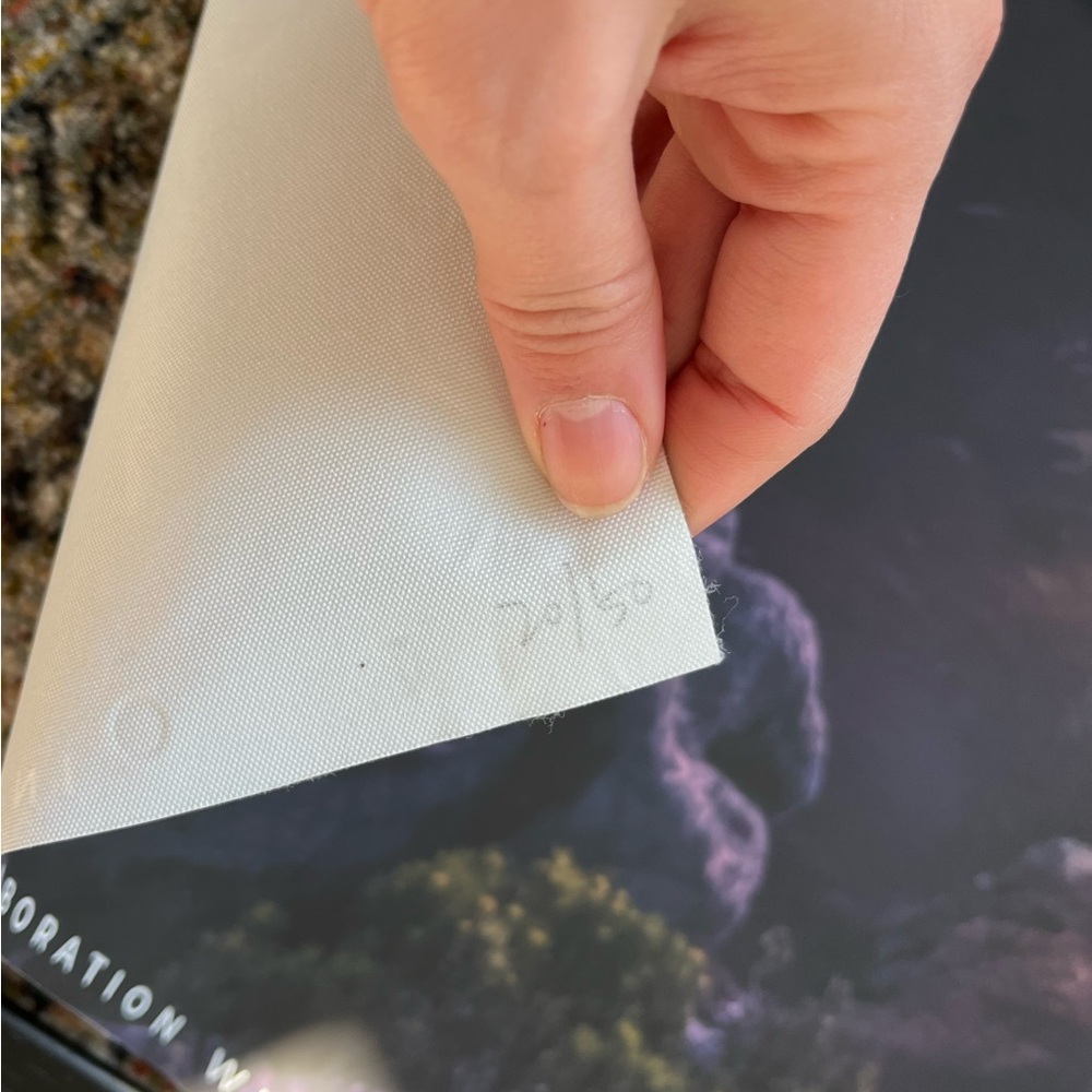 COPY - Ecstase “On Top of the World” Walltone Canvas Print - with Frame - Picture 7 of 8